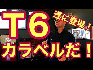 【フォルクスワーゲン】遂に登場！これがT6カラベル マルチバン エグゼクティブだ！