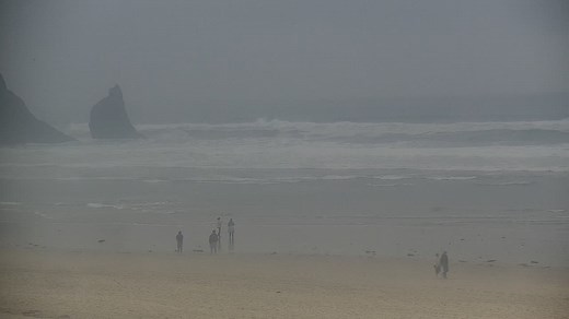 Oregon Coast Webcams | Visit Oregon
