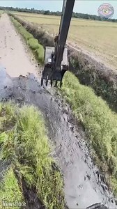 6.1K views | The fact that those birds are so calm勞 | SLICK SLIME SAM | Facebook