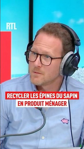 Using Christmas tree needles as a household product