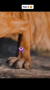 11K views · 415 reactions | Free fire story part 03 best vidiyo clip  Like & sheya follow gaiss ❤️ @topfans INDIAN FREE FIRE LOVERS (♛Ꮲʀɪᴛᴀᴍ♛) Everyone Free Fire Esports India #freefireflex2023 #fbreelsfypシ゚viral DoubleDown Casino - Free Slots Free Fire I'd Exchange All Server Garena Free Fire #FreeFire #GOAT | DREDO gaming | Facebook