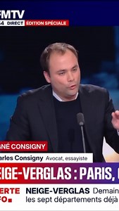 Clash entre Charles Consigny et une élue PS de Paris sur BFMTV #consigny #clash #bfmtv #tv #paris | Florian Guadalupe