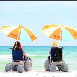 DeBug All-Terrain Beach Wheelchair