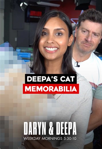 Cute Cats and Community in Toronto