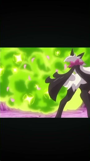 meow segarada menguarkan jurusnya flower trick😎😍