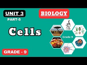 GRADE 9 BIOLOGY |UNIT 3|PART 5| ACTIVE TRANSPORT EXPLAINED + LEVELS OF BIOLOGICAL ORGANIZATION