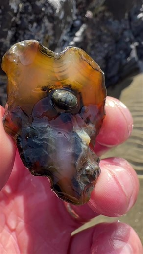 Unexpected Rock Discovery During Agate Hunting
