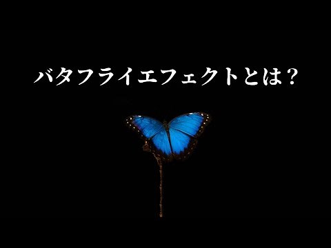Just taking the wrong path can lead to war. What is the butterfly effect?