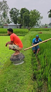 Hello Funny on Reels