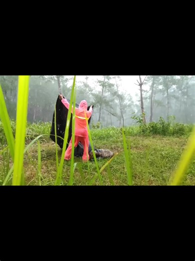 Camping Tips for Thunderstorms: Stay Safe and Dry