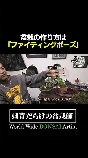 "Bonsai are just like people..." Bonsai artist Yusuke Hamamoto #JitsuwaKnuckles #Bonsai #Tattoo