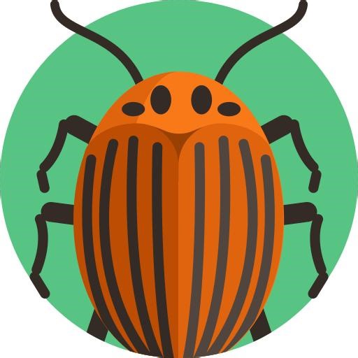 Mastering Vulnerability Exploitation with TryHackMe | Joshua Chipeta posted on the topic | LinkedIn