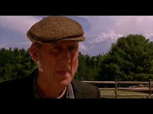 Babe 1995 herding ￼