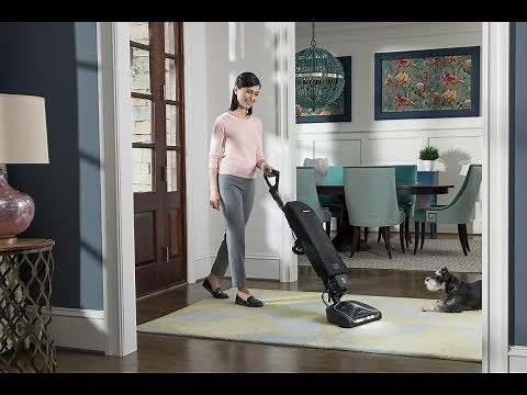 Introducing the Oreck® Elevate Cordless