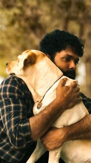 The Most HEARTBREAKING MOMENT 💔 | 777 Charlie | Rakshit Shetty | #primevideoindia #movie #trending