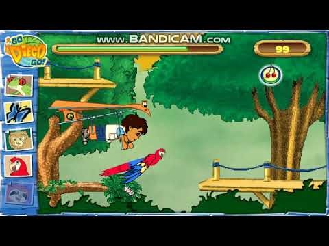 Rain Forest Adventure