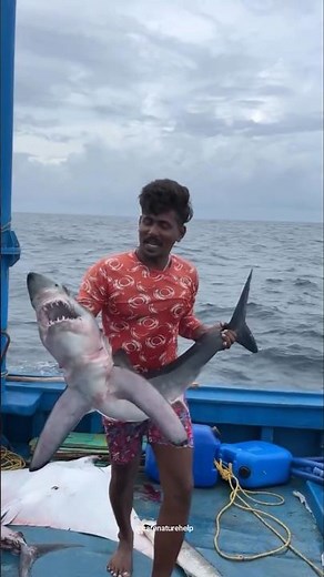 Fishermans life | Fisherman's life fishing #fisherman #fishing #shorts