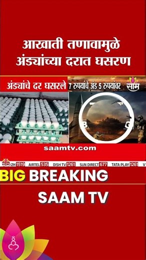 आखाती तणावामुळे अंड्यांच्या दरात घसरण | Egg Price Drop