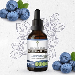 Secrets Of The Tribe Bilberry Fruit Organic Dietary Supplement, Natural Herbal Tincture for Vision Support, Certified Organic Bilberry (Vaccinium myrtillus) Dried Fruit, Alcohol-Free Extract, 2 oz