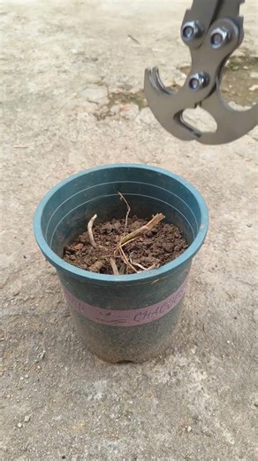 Gravity hook for high-altitude object retrieval #shorts #tips