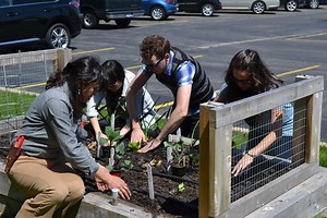 First Planting of the Season