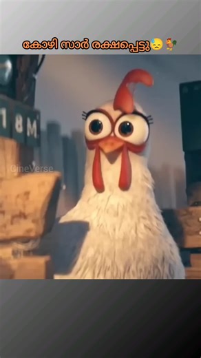കോഴി സാർ രക്ഷപ്പെട്ടു😓🐓#shorts #short #shortvideo #viral #reels #shortsfeed #youtubeshorts