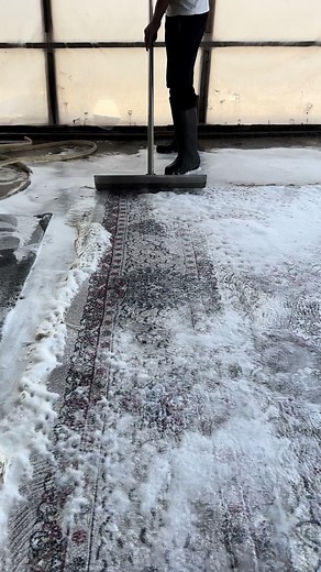 #satisfying #asmr #carpetcleaning