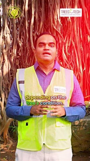 🌳💉 Treat the problem at the source — not the surroundings.