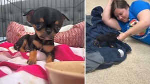 21K views · 974 reactions | Mimi was born with congenital...