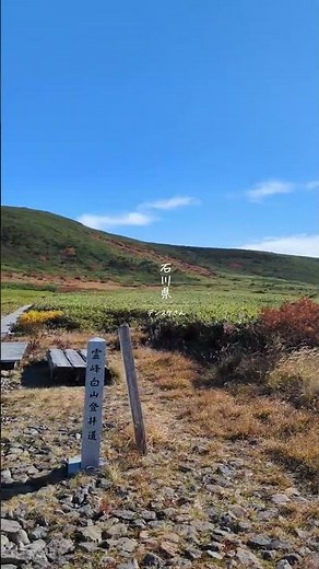 【季節の彩り】秋の美しい景色 #通勤タイパ #japantravel #秋