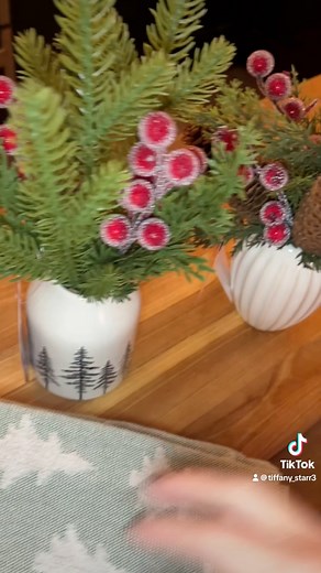 12 reactions | I found some Christmas goodies at Beall’s. Christmas is my favorite time of the year! ☃️ #Christmas #decoration #tistheseason #christmastime | Tiffany Starr Cochran | Facebook