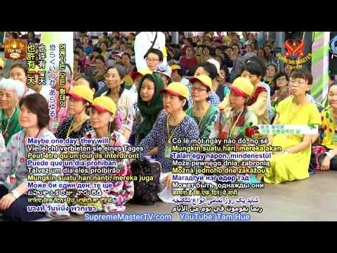 Bốn Loại Chúng Sinh Trong Đời Người, TRỌN BỘ TIẾNG VIỆT - SUPREMEMASTERTV
