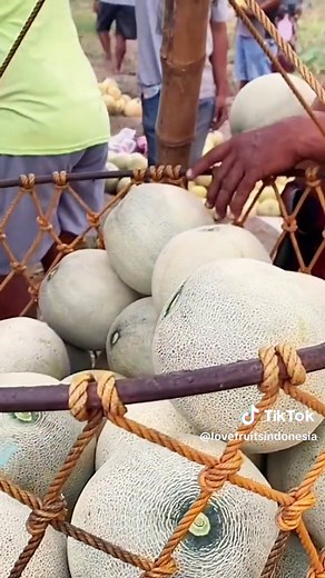 Delicious Melon Recipes to Try This Summer