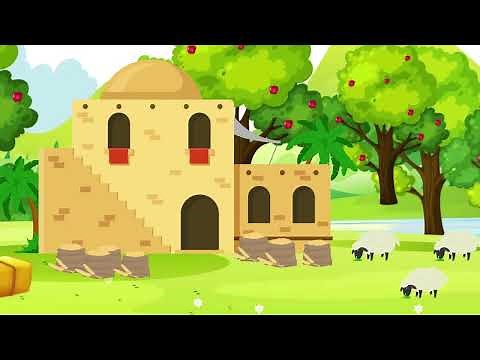 The Rich Fool | Luke 12:13-21