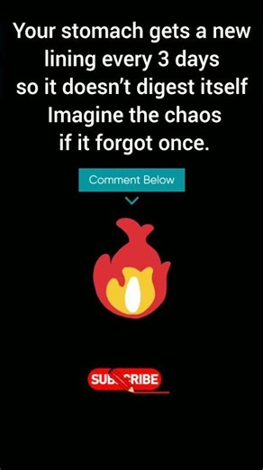 Hilarious Science Memes That Break the Internet