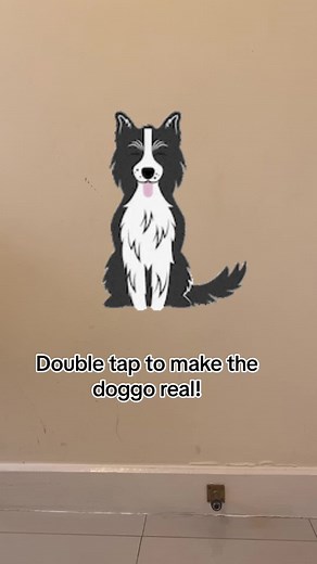 ‏Friends? 🥺💕 #bordercollie #doggo #bestfriend #doubletap