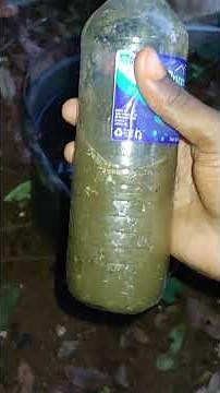 How to Make Nutrient-Rich Compost Using Kitchen Waste