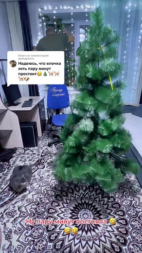 Ольга on TikTok