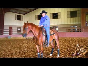 Best Ground For An Arena - Tom McCutcheon