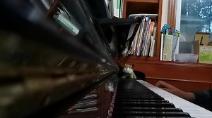 J.S.Bach Sinfonia No.4 in D minor BWV790,三部创意曲第四首