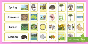 F-2 Spring in Australia Word Cards
