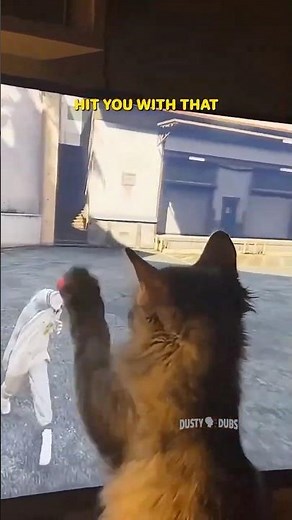 Grand Theft Gato Trash Talk 😹