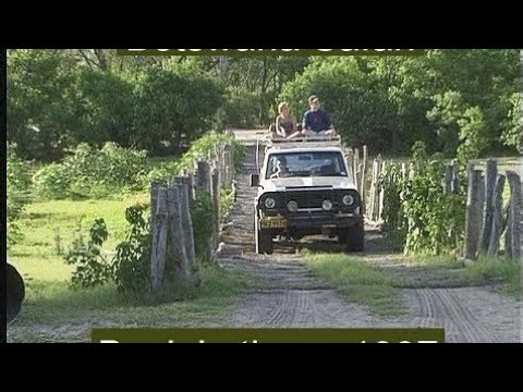 Back in Time: Botswana Safari - December 1997