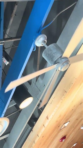 50" Modern Fan Co. Lapa ceiling fans running on low speed