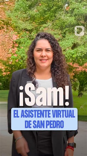 1K views · 119 reactions | ¿Sabías que en San Pedro tenemos a SAM, un asistente virtual? ¡Te atiende las 24 horas del día los 7 días de la semana! Escríbele por Whatsapp tu duda lo más clara y detallada posible y te dará respuesta o seguimiento en segundos. SAM se hace cargo. ➡️81 1212 1212欄 | San Pedro Garza García | Facebook