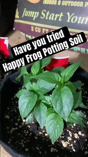 Have you tried Fox Farm Happy Frog Potting Soil #garden #Soil #plants #happyfrog