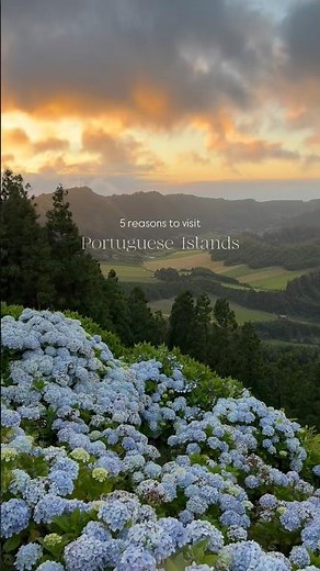 5 reasons why you should visit Portuguese Islands 🇵🇹