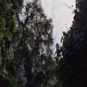 4.6K views · 77 reactions | Tail End Charlie - The Pacific 2010 | Ww2 Explorer | Facebook