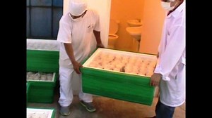 Rediseñan Registro Nacional de Proveedores