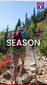 12 reactions | Podar International School, Davanagere Preparing...